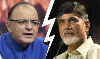 For Centre, Andhra Pradesh Not a Part of India: Chandrababu Naidu