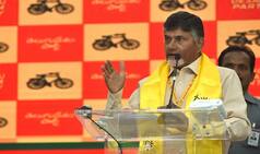 Chandrababu Naidu to Meet DMK Chief MK Stalin to Stitch Anti-BJP Alliance For 2019 LS Polls