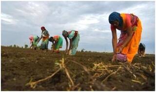 बजट में 'गोबर धन योजना' का भी ऐलान, गांवों में बनेगा बायोईंधन
