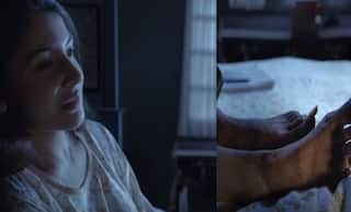 Anushka Sharma Will Leave You Horrified With Her Bruises And Cuts In Pari's Teaser