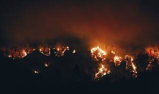 Nine Trekkers Dead, 27 Rescued in Tamil Nadu Forest Fire, Rescue Operation on