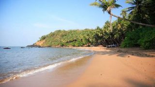 Goa Government Planning to Ban Swimming From Dusk to Dawn