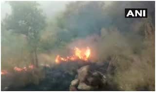 Fire Breaks Out at Ghaziabad Pipe Factory Near Kaushambi Metro Station, One Injured
