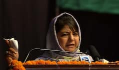 'Mehbooba Mufti Jihadi CM, Gives Legal Immunity to Cow Slaughter'