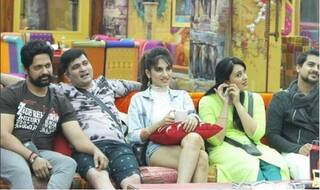 Bigg Boss Marathi Season 1: Fans Predict A Love Story Between These Two Contestants