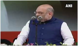 विपक्ष पर बरसे अमित शाह, 'मोदी की बाढ़ में सांप-कुत्ता-बिल्ली सब एक हुए'