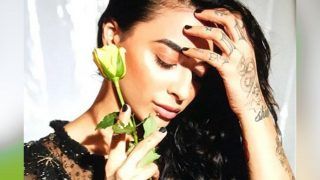 Bani J Poses in Transparent Dress For Magazine Photoshoot, Check Out Smoking Hot Pictures of Bigg Boss 10 Contestant