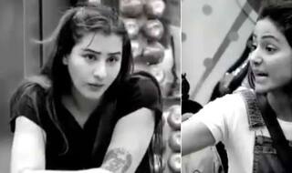 शिल्पा शिंदे ने पोर्न वीडियो शेयर करके दी सफाई, हिना खान ने लगाई लताड़