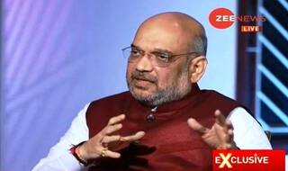 Opposition Has Lost Before, They'll Lose Now: Amit Shah