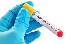 Nipah Virus in Kerala: Govt Decides to Ease Restrictions in Containment Zones As Cases Dip