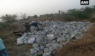 Gujarat: Cement Truck Topples Over on Highway, Leaves 19 Dead, 7 Injured in Bhavnagar