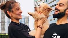 Anushka Sharma And Virat Kohli's Latest Pic Holding A Cute Dog Needs To Be Framed ASAP!