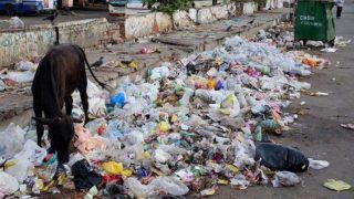 World Environment Day 2018: Delhi Tops Nation's Chart in Generating Plastic Waste as EU Pledges For ‘Beat Plastic Pollution’