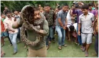 VIDEO: अजगर को गले में लटकाकर सेल्फी ले रहा था फॉरेस्ट अधिकारी, फिर अचानक...