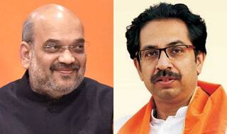 BJP, Shiv Sena's Consensus on 2019 Lok Sabha Polls Goes Barren Over Seat Share in Maharashtra