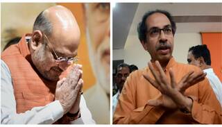 रिश्तों में खटास के बीच अमित शाह ने की उद्धव ठाकरे से मुलाकात, क्या बनेगी बिगड़ी बात?