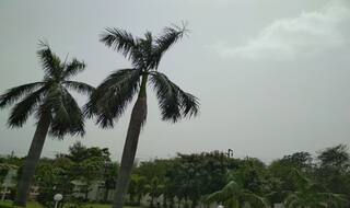 दिल्ली-एनसीआर में धूल से प्रदूषण का स्तर अभी भी खतरनाक, आसमान में छाए बादल