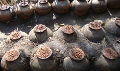 Adivasi Drink 'Mahua' Will Hit Liquor Stores Next Week
