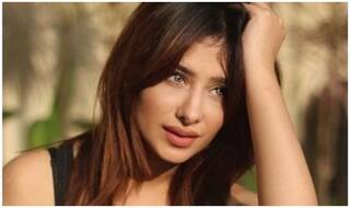 Mahira Sharma To Join The Star Cast Of Anita Hassanandani   s Naagin 3?