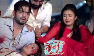 Yeh Hai Mohabbatein: Will Raman Tell Ishita About Plans Made For Roshni's Child?