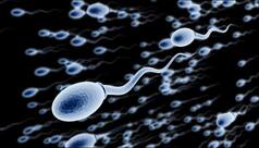 Boxers Over Briefs: Here's How Your Underwear Can Affect Sperm Concentration
