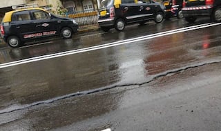 Mumbai: Cracks Develop on Overbridge at Grant Road Station, Traffic Diverted