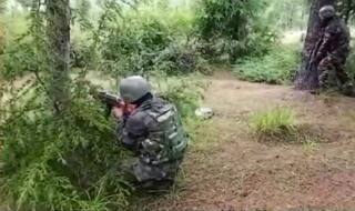 Kupwara Encounter: Three Militants Shot, Soldier Martyred as Operation Continues