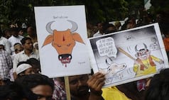 Looks Like Rakbar Khan Died in Custody, Says Rajasthan Govt