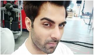 Yeh Hai Mohabbatein Star Ribbhu Mehra To Appear In Music Video