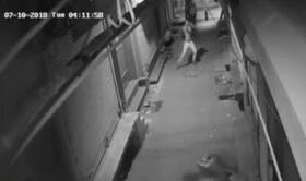india.com top news