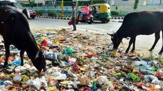 Delhi Being Buried Under Garbage, Mumbai Sinking, But Govt Doesn't do Anything: Supreme Court