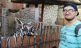 Donkeys For Zebras at Cairo Zoo? Creating a Lion's Park Isn't a Big Deal Either