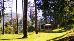 Check Out 10 Beautiful Hill Stations Near Delhi That Are Not Crowded