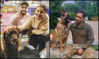 'Virushka' Shows Furry Love After Dhoni Does it Hours Earlier