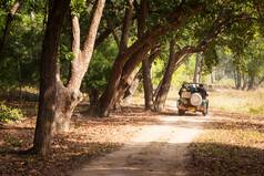 Photos of Bandhavgarh National Park, a Haven of Natural Beauty in Madhya Pradesh