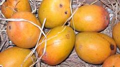 5 Local Seasonal Fruits You Must Have in Summer