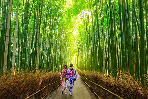 Arashiyama Bamboo Forest In Japan Stunning Photos That Will Make Your Day India Com