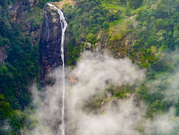 Image result for catherine falls coonoor