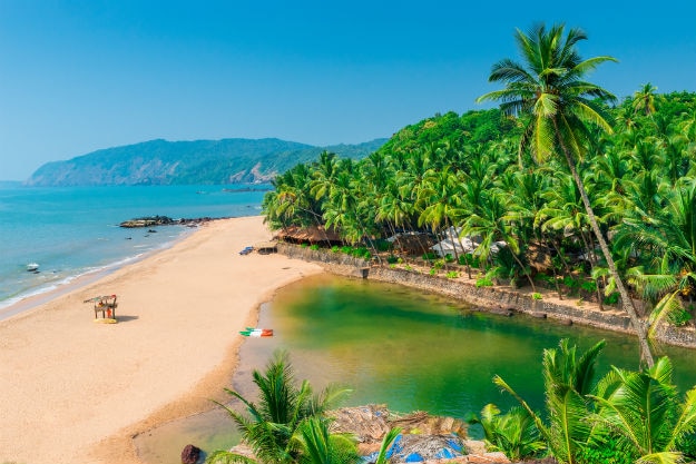 Image result for GOA