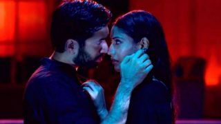 Ishqbaaz Couple Shivaay And Anika Will Put Your Screen on Fire With Their Steamy Pool Romance; Watch