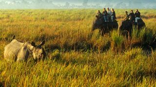 Want to Know The UNESCO Natural World Heritage Sites in India? Read on