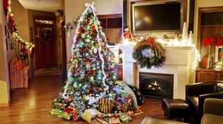 Christmas Tree Vastu Tips: घर पर क्रिसमस ट्री लगाने से दूर होते हैं ये सभी वास्तु दोष, आप भी जानें
