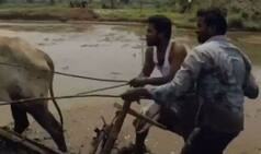 Telangana Farmers End up 'Winning' Kiki Challenge After Video Goes Viral