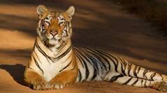 Check Out These 5 Wildlife Sanctuaries You Can Visit During The Monsoon in India