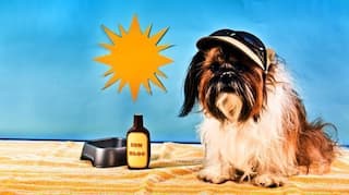 9 cool tips to beat the heat while traveling!