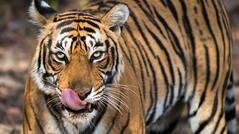 These 10 National Parks, Wildlife Sanctuaries Are a Photographer's Delight