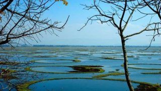 India's Diverse Landscape Can be Viewed Through These 10 Beautiful Photos
