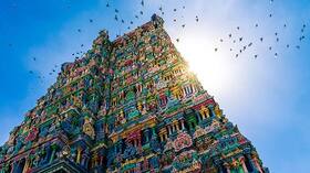 india.com top news