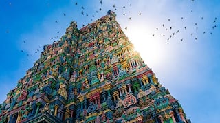 india.com top news