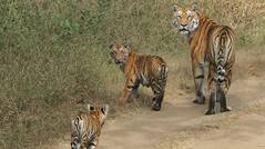 Madhya Pradesh Tourism: Best Winter Holiday Destinations in MP for 2017